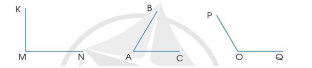 Bài 5