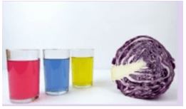 Hóa 11 Bài 3: pH của dung dịch. Chuẩn độ acid – base Giải bài tập Hóa 11 Cánh diều trang 20, 21, 22, 23, 24, 25