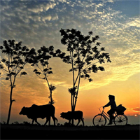 Văn mẫu lớp 12: Nghị luận xã hội về vai trò của quê hương đối với mỗi người (Dàn ý + 2 Mẫu)