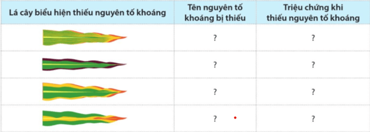 Sinh học 11 Bài 2: Trao đổi nước và khoáng ở thực vật Giải Sinh 11 Cánh diều trang 9, 10, 11, 12, 13, 14, 15, 16, 17