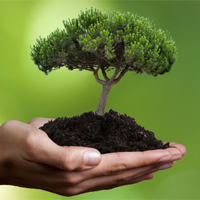 Sinh học 11 Bài 9: Miễn dịch ở người và động vật