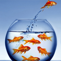 Văn mẫu lớp 12: Đoạn văn suy nghĩ về việc chọn để nghĩ và chọn để làm trong cuộc sống (3 mẫu) 