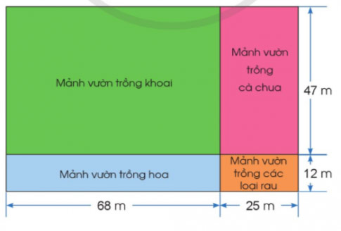 Bài 3