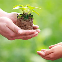 Dẫn chứng về Cho và nhận