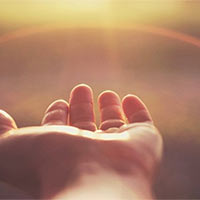 Dẫn chứng về lòng biết ơn