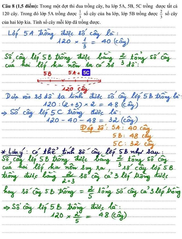 Đáp án đề thi vào lớp 6 trường Nobel School