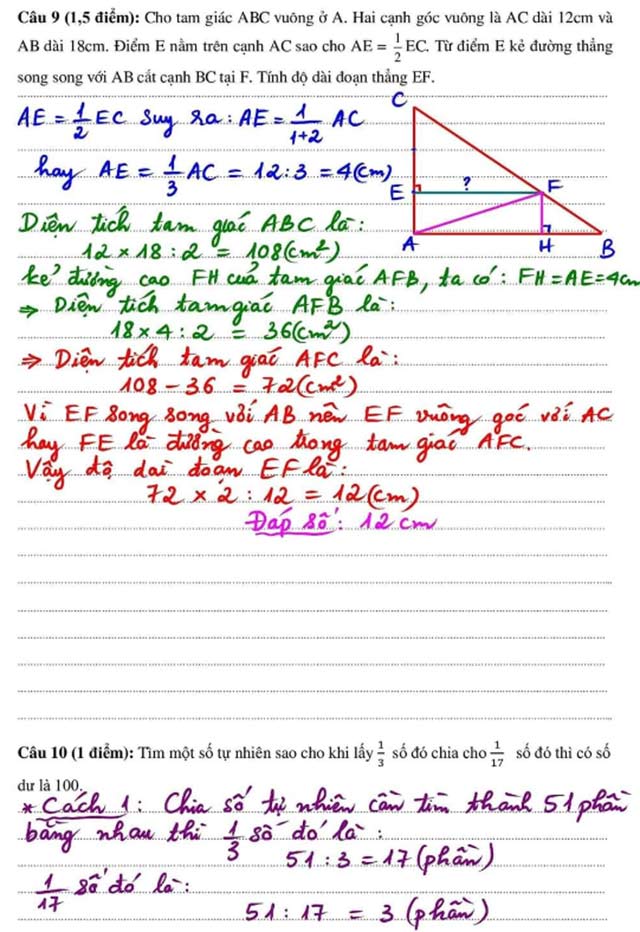 Đáp án đề thi vào lớp 6 trường Nobel School