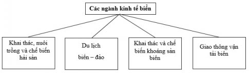 Sơ đồ tư duy