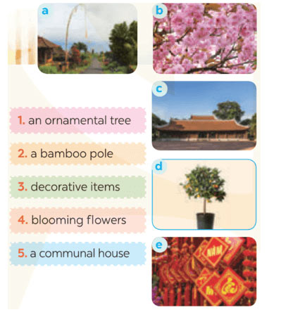 Tiếng Anh 8 Unit 5: Getting Started Soạn Anh 8 Kết nối tri thức trang 50, 51