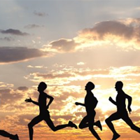 Giáo án Giáo dục thể chất 8 sách Cánh diều (Học kì 1)