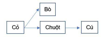 Khoa học lớp 4 Bài 23: Vai trò của thực vật trong chuỗi thức ăn Giải Khoa học lớp 4 sách Cánh diều