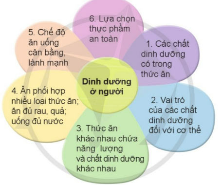 Trò chơi: “Hái hoa”