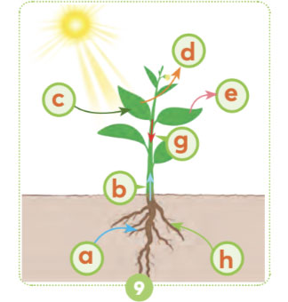 Trò chơi: “Ai đúng, ai nhanh?"