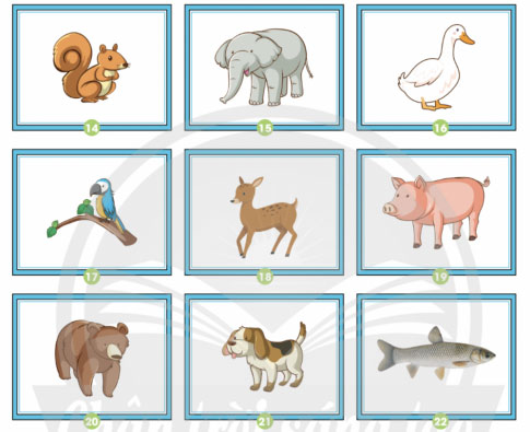 Luyện tập trang 66