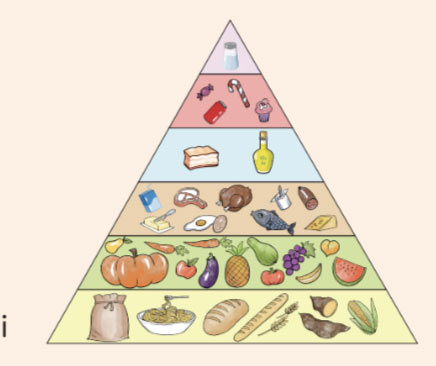 Luyện tập trang 98