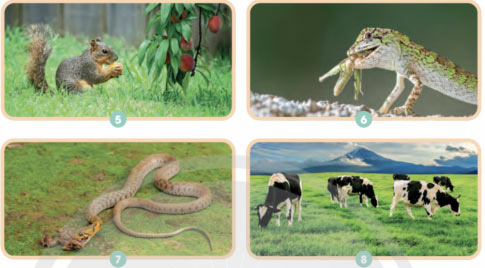 Luyện tập trang 114