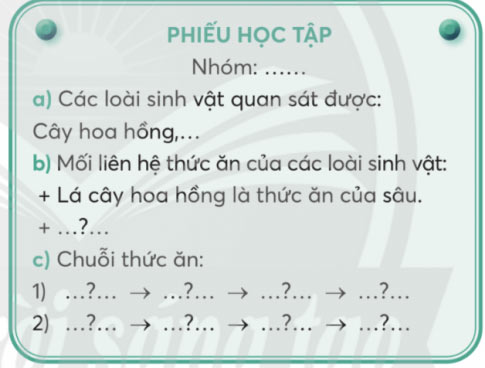 Vận dụng