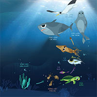 Khoa học lớp 4 Bài 31: Vai trò của thực vật trong chuỗi thức ăn