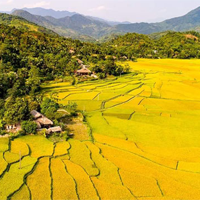 Văn mẫu lớp 11: Đoạn văn về mối liên hệ giữa các chi tiết, hình ảnh đã làm nên thế giới cảm xúc nhớ đồng