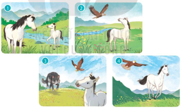 Đôi cánh của ngựa trắng