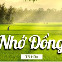 Dàn ý phân tích bài thơ Nhớ đồng (2 Mẫu)