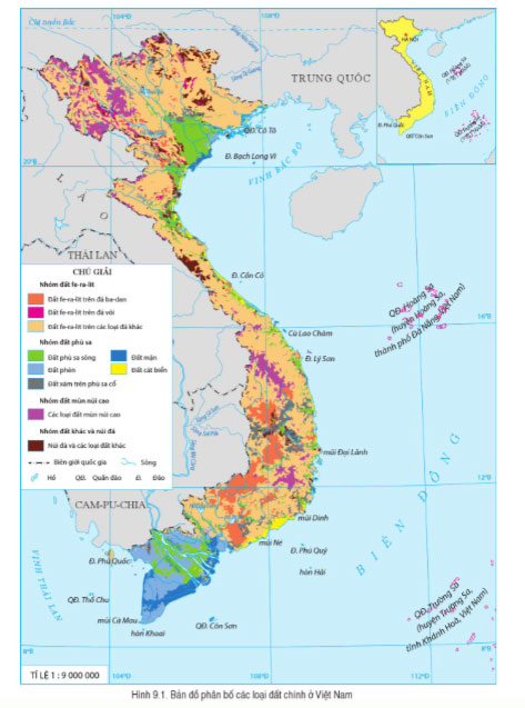 Địa lí 8 Bài 9: Thổ nhưỡng Việt Nam Soạn Địa 8 sách Cánh diều trang 125, 126, 127, 128, 129, 130, 131