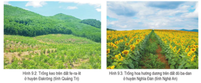 Hình 9.2, 9.3