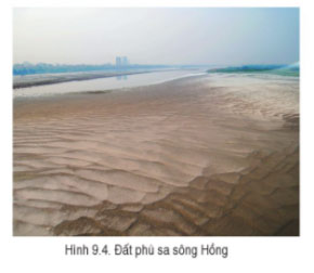 Hình 9.4