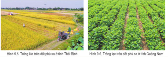 Hình 9.5, 9.6