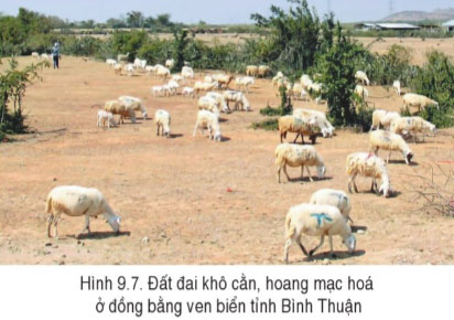 Hình 9.7
