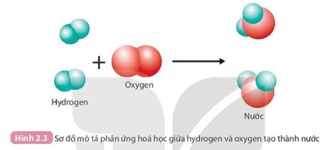 Hình 2.3