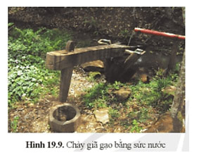 Câu 5