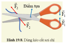 Luyện tập 1