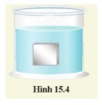 Hình 15.4