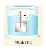 Hình 15.4