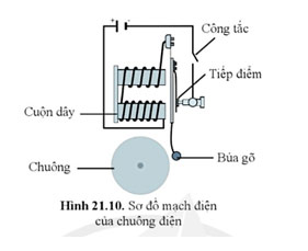 Câu 5