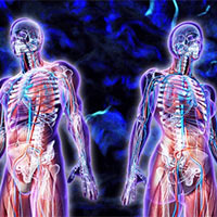 KHTN 8: Bài tập Chủ đề 7