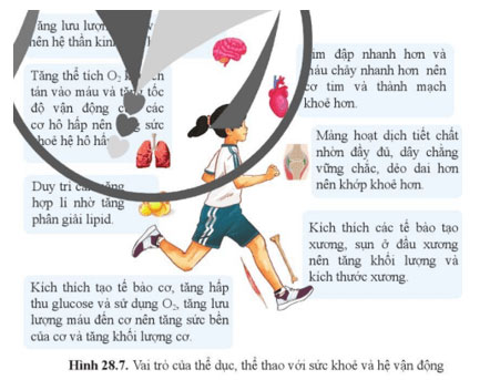 Hình 28.7