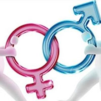 KHTN 8 Bài 37: Sinh sản ở người