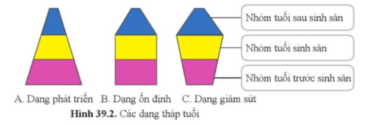 KHTN 8 Bài 39: Quần thể sinh vật Giải KHTN 8 Cánh diều trang 182, 183, 184, 185
