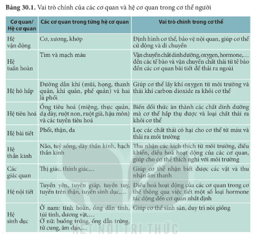 KHTN 8 Bài 30: Khái quát về cơ thể người Giải KHTN 8 Kết nối tri thức trang 123, 124