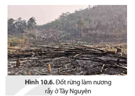 Bảo tồn đa dạng sinh học ở Việt Nam