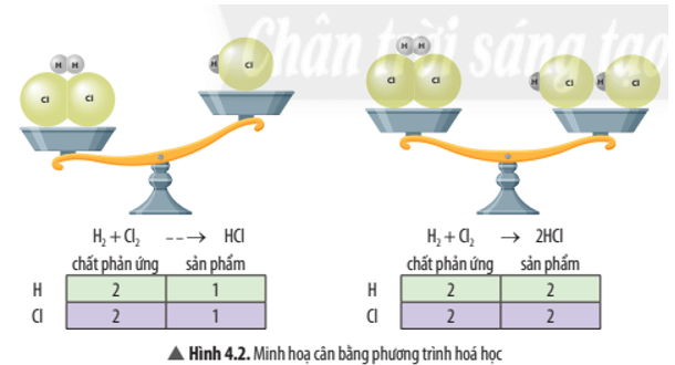 KHTN 8 Bài 4: Định luật bảo toàn khối lượng và phương trình hoá học Giải KHTN 8 Chân trời sáng tạo trang 23, 24, 25, 26
