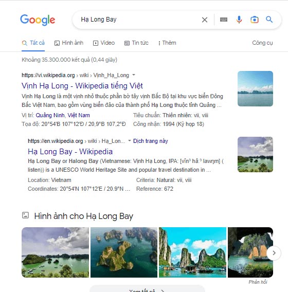 Tìm kiếm thông tin