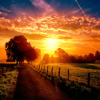 Soạn bài Tự đánh giá: Nắng đẹp miền quê ngoại Cánh diều