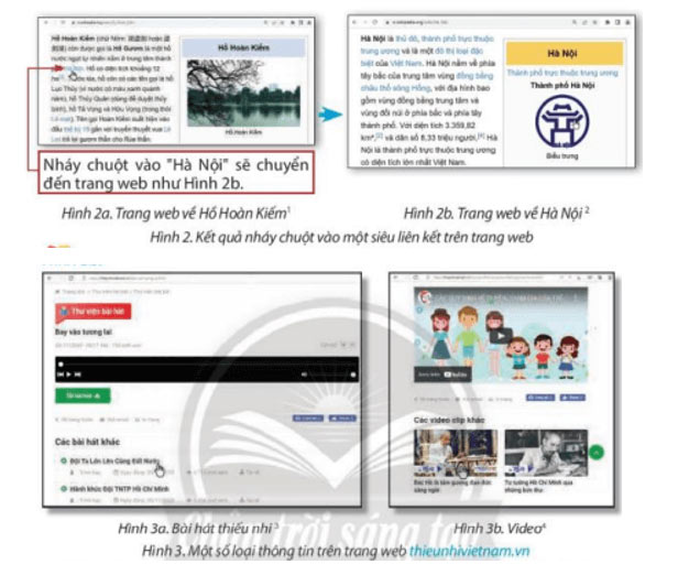 Hình 2a, Hình 2b, Hình 3a, Hình 3b