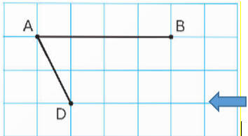 Bài 1