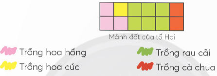 Bài 2