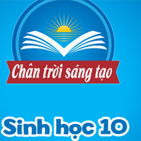 Giáo án chuyên đề Sinh học 10 sách Chân trời sáng tạo (Cả năm)
