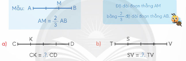 Bài 5